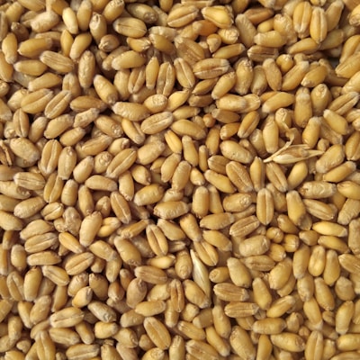Tepung Terigu 1kg